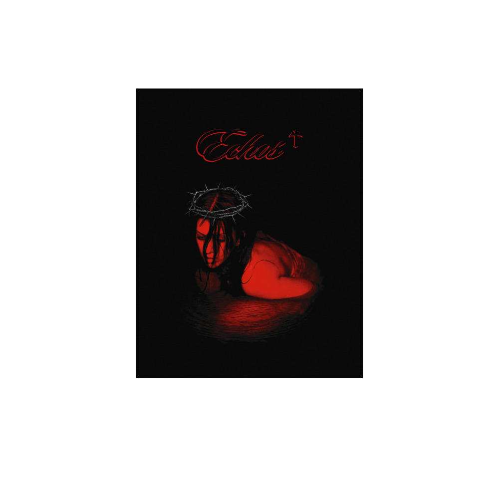 Crown of thorns poster